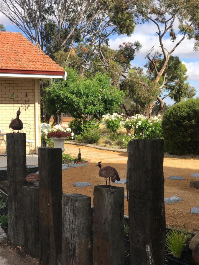 Yellow Gum Bed And Breakfast Katanning Esterno foto