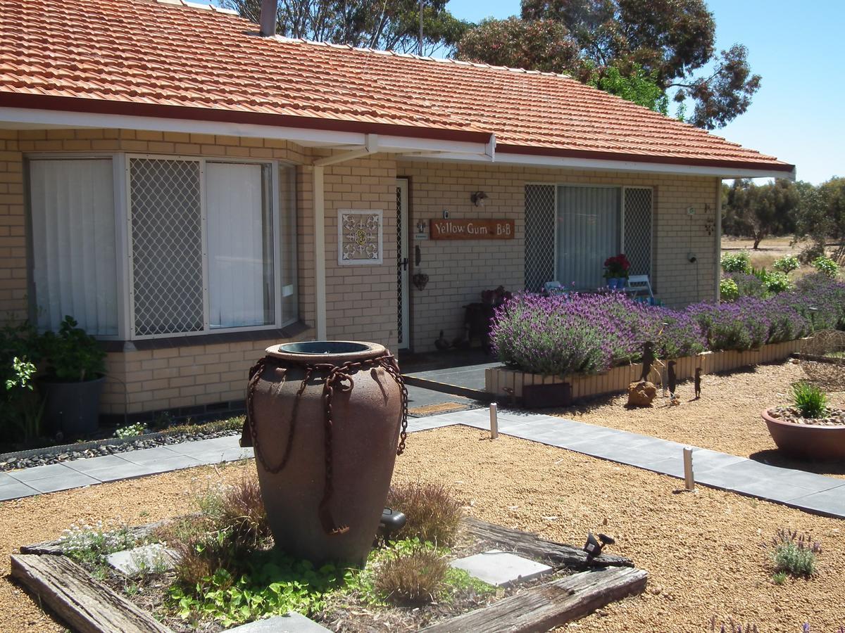 Yellow Gum Bed And Breakfast Katanning Esterno foto