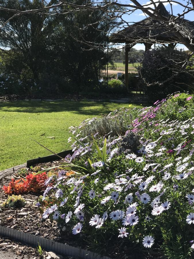 Yellow Gum Bed And Breakfast Katanning Esterno foto